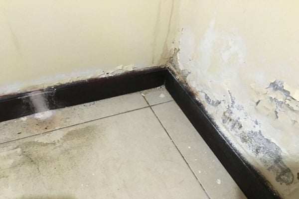 Banyo Tıkanıklıkları